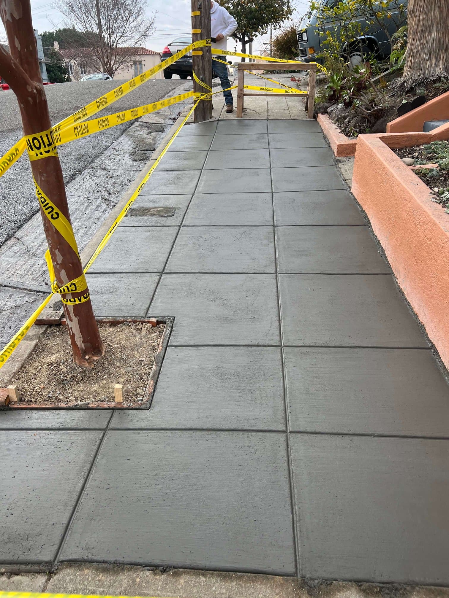 Newly poured concrete sidewalk panels with a framed tree well